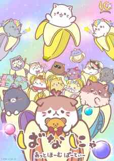 Bananya At Home Party